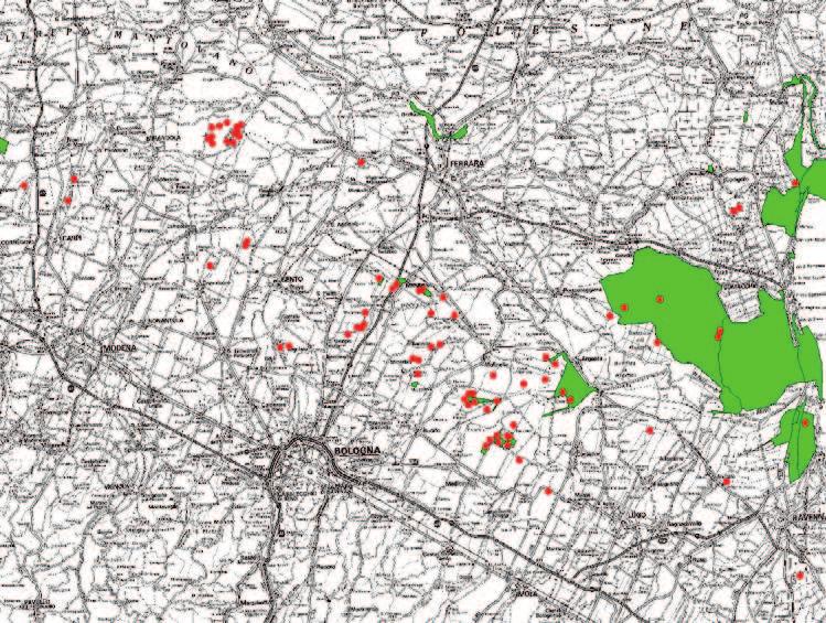 200 ettari di zone umide della pianura emiliano romagnola (corsi d'acqua, risaie, litorali esclusi) zone umide create con i