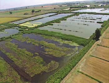 in circa 330 aziende agricole Nel 2004 l importo dei premi