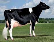 0% 1377p Welcome Garter TV TL VG-88 +770 Lbs proteine +.00% +23 Lbs grasso +.