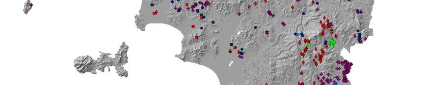 termica totale installata 650MWt