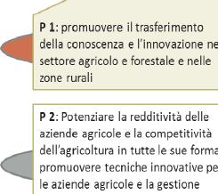 Figura 7 - Priorità e focus area 4.3.