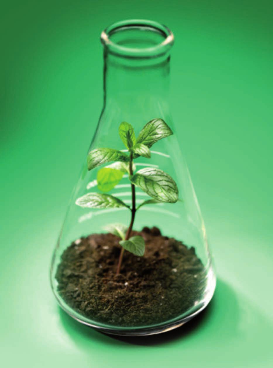 Lubrificanti biodegradabili, con minore impatto ambientale pensati per ridurre l immissione di sostanze nocive per l acqua ed il suolo.