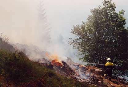 L'incendio boschivo statistica provinciale Incendi boschivi (numero) Superficie boscata percorsa dal fuoco (ha) Superficie non boscata percorsa dal fuoco (ha) Superficie media percorsa dal fuoco per