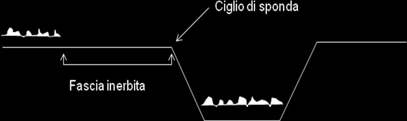 il rispetto del divieto di fertilizzazione sul terreno adiacente ai corsi d acqua; la costituzione ovvero la non eliminazione di una fascia stabilmente inerbita spontanea o seminata di larghezza pari