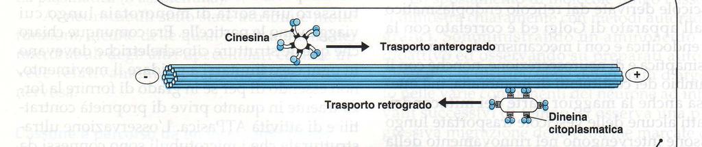 Flusso