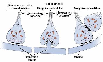 Tipi di