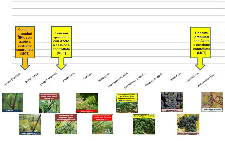 Haifa incontra l UNIVERSITÀ La necessità di aumentare e perfezionare le conoscenze per un ottimale Sostenibilità nutrizionale (Idrica e Minerale) delle coltivazioni