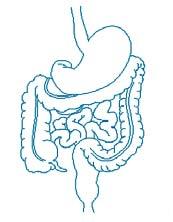 TUMORI DEL COLON-RETTO in provincia di Trapani Nel periodo 2002-2006 si sono registrati in provincia di Trapani 1139 nuovi tumori del colon-retto: 588 nei maschi, 551 nelle femmine.