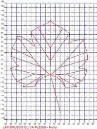 Famiglia: Vitaceae Genere: Vitis Specie: Vitis vinifera L. Nome comune: LAMBRUSCO OLIVA N.