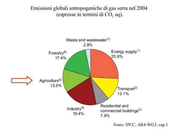 biologicamente produttiva necessaria a rigenerare le