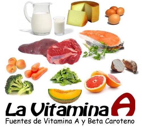 Vitamine liposolubili Vitamina A o retinolo si trova nei seguenti alimenti:uova,fegato,il latte e derivati,burro,vegetali colorati di giallo(albicocche) o verdi (spinaci).