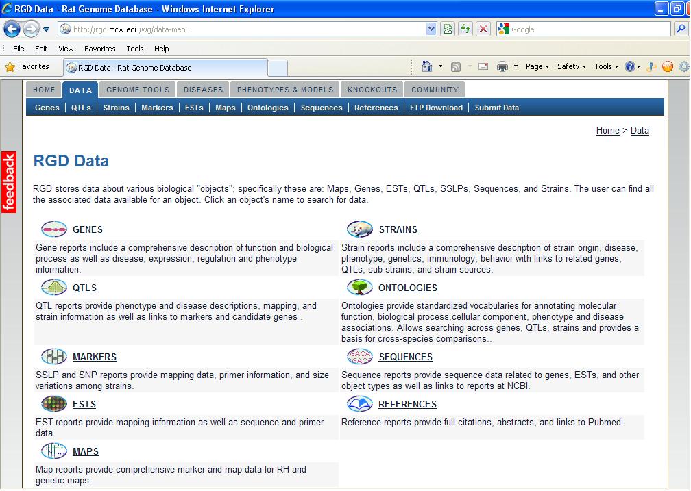 Da Genome tools si accede a: Rat e Human Genome Browser (possiamo cercare in che posizione si trova un gene e sfogliare la mappa cromosomica), Genome Viewer (permette di vedere il gene all'interno