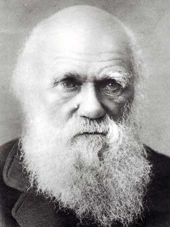 Funzionalismo Charles Darwin Adattamento