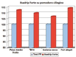 Alta qualità Gli amminoacidi contenuti nei fertilizzanti a base di GELAMIN e le molecole biostimolanti dei prodotti della linea ILSATEC sono subito assorbiti dal pomodoro ed influenzano il