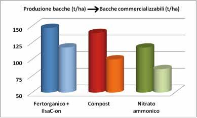 le tesi Dose: 1,5 l/ha 4 interventi ogni 15 giorni, a partire da 2 settimane dopo il trapianto Bari Tesi Produzione bacche (t/ha) Bacche commercializzabili (t/ha) Peso medio bacca matura (g) Residuo