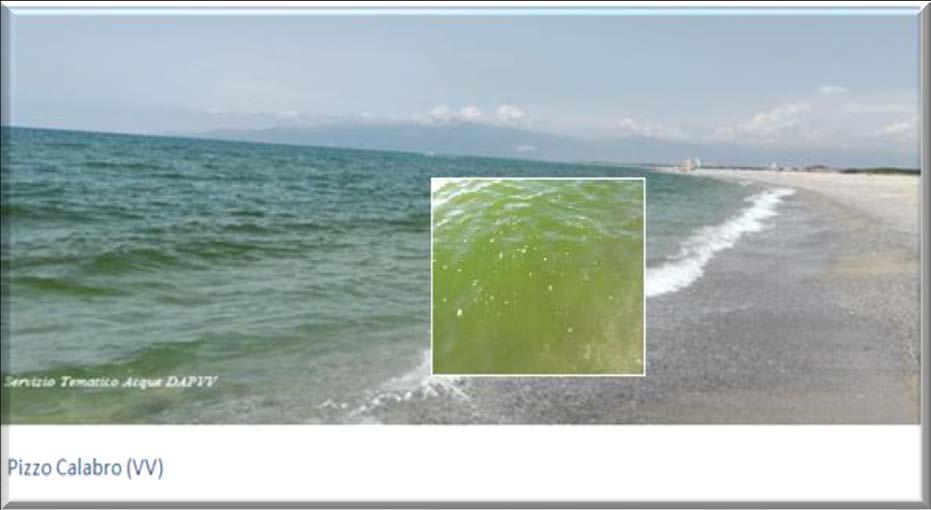 Sono stati invece osservati dalla prima decade di luglio a fine agosto diversi fenomeni legati all alterazione del colore delle acque di balneazione a verde brillante con striature di colore