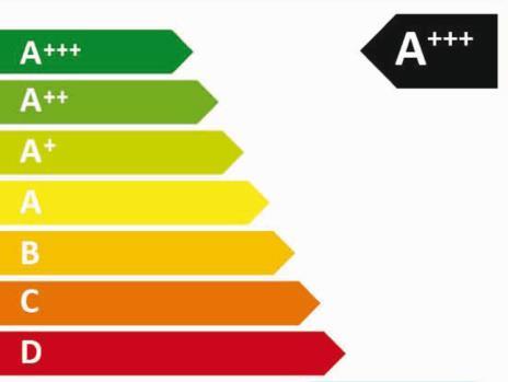 4. ERP II NUOVI REQUISITI Dichiarazione della classe di efficienza energetica (Art.