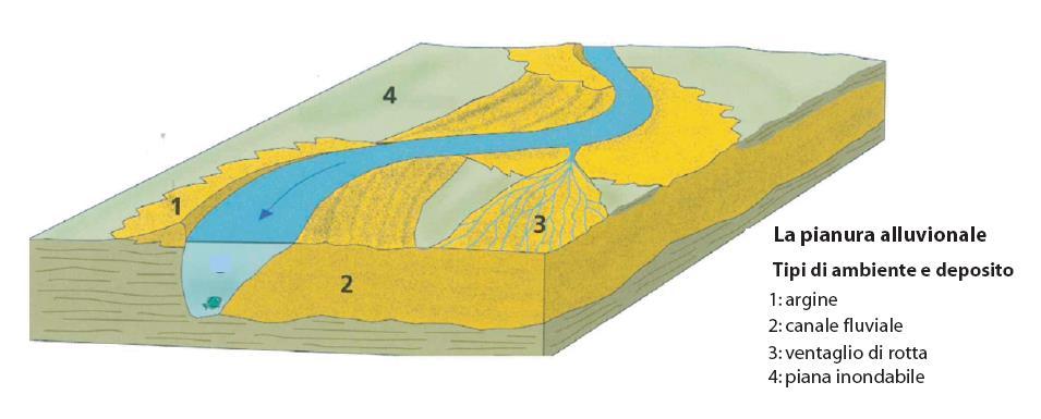 Modello deposizionale di una pianura alluvionale ampia S tetto della falda paleofiume affluente appenninico attuale fiume Po N Olocene