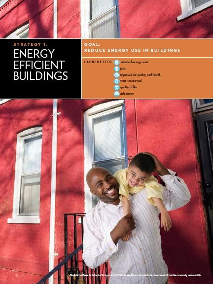 Report 2010 Energy Action Network: fondato per organizzare e coordinare delle comunità energeticamente efficienti e gruppi d'acquisto.