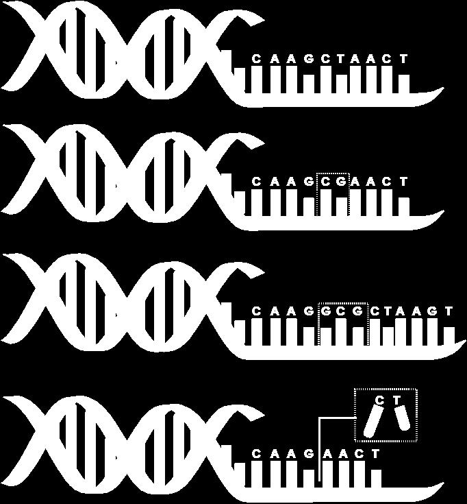 Modifiche (mutazioni) nella sequenza del DNA gene normale cambio singola base addizioni cancellazioni Gli errori casuali che modificano la sequenza delle basi (esempi