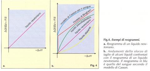 Fondamenti di reologia Viscosità dei fluidi