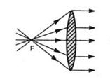 Curva fotometrica: che descrive le caratteristiche illuminotecniche dell apparecchio Rendimento