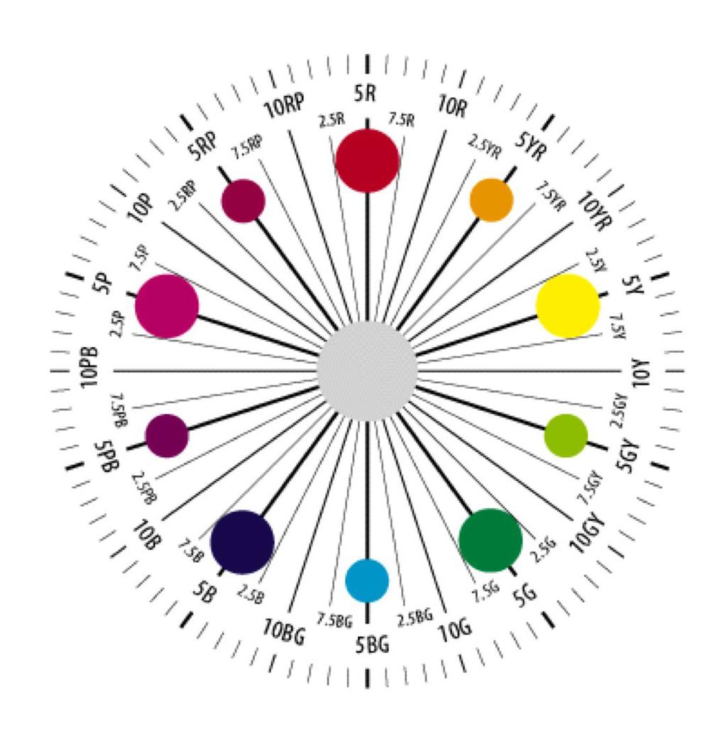 Munsell_Cerchio Cromatico Il Munsell il cerchio cromatico è suddiviso in: Cinque tinte principali: R- red, Y- yellow, G- green, B- blue