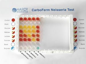 metabolismo