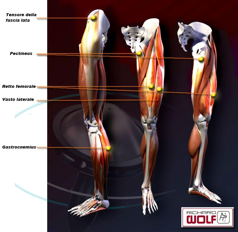 TPST Trigger Point