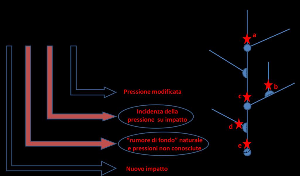 8. valutazione degli impatti attesi dal nuovo