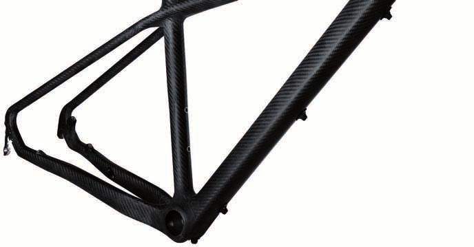 TB frames forcellino -