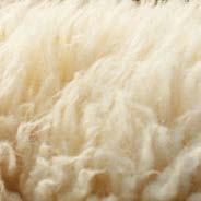 MERINOS MERINO WOOL La lana Merinos, ricavata dalla tosatura delle migliori pecore da lana, è una delle fibre animali più pregiate in assoluto.