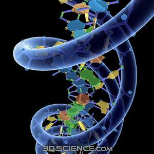 immunobiologiche ha dato un enorme impulso alle conoscenze nell ambito della biologia dei tumori.