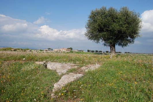 29 7 Taranto, Loc. San Paolo, 28/02/2013: L UT3, l area di cava. Sullo sfondo Masseria San Paolo.