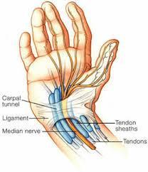 DISTURBI MUSCOLO-SCHELETRICI SINTOMI Tendiniti. Dolori alle articolazioni del braccio o della mano durante i movimenti.