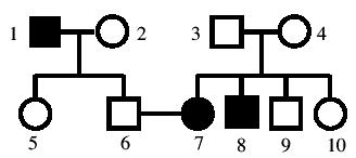 ESERCIZIO"23" Il" seguente" albero" genealogico" mostra" l espressione" di" una" malaja" trasmessa" come" cara;ere" recessivo" legato" al" cromosoma" X.