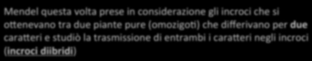 La seconda legge di Mendel si riferisce al modo in cui si assor2scono gli alleli rela2vi a geni diversi (es ALTEZZA DELLA PIANTA COLORE DEL BACCELLO) Mendel questa volta prese in