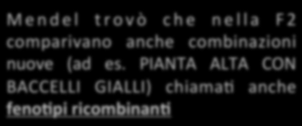 diibridi, così chiama2 poiché gli individui sono ibridi per due cara=eri: Mendel trovò che