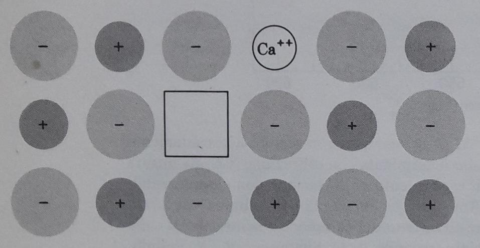 vicinali per il vincolo di elettroneutralità complessiva Doping aliovalente di Ca 2+ in un reticolo di KCl con