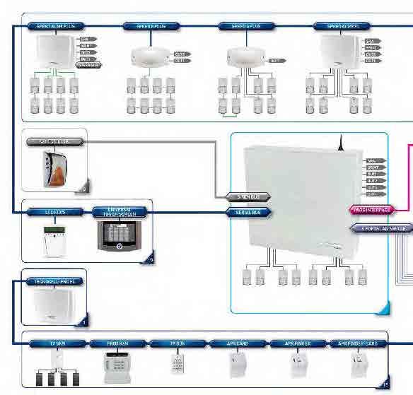 TP8-96 VIDEO SISTEMI - TP8-96 VIDEO CPU SPEED 8 STD SPEED 4 SPEED 8 SPEED ALM8 PL SPEED 4 PLUS Configurazione di sistema SPEED 8 PLUS SPEED ALM8 PLUS TP8-96 VIDEO TP8-96 VIDEO TP8-96 VIDEO TP8-96