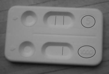 com Aborto medico in etá gestazionale molto precoce Diagnosi di gravidanza : ß-hCG urine/plasma Verifica dell espulsione: ß-hCG : - plasmatico - test rapido sulle urine con alta/bassa sensibilitá (i.