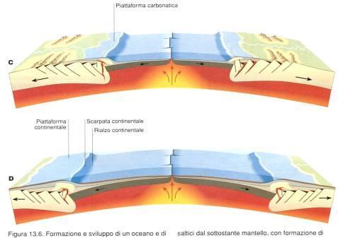 piattaforma (pianure alluvionali, delta), Piattaforme carbonatiche,