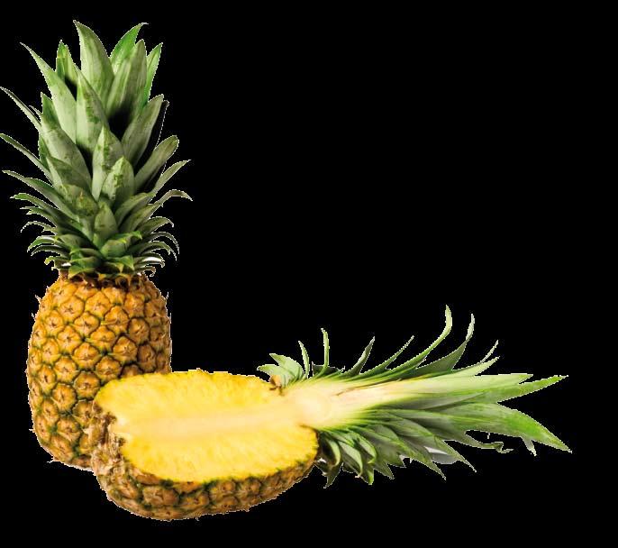 ANANAS E MIRTILLI 6 1 tazza di succo d ananas 1 tazza di ananas a dadini 1 tazza di mirtilli congelati Versare il succo d ananas all interno del bicchiere. Aggiungere l ananas a dadini e i mirtilli.