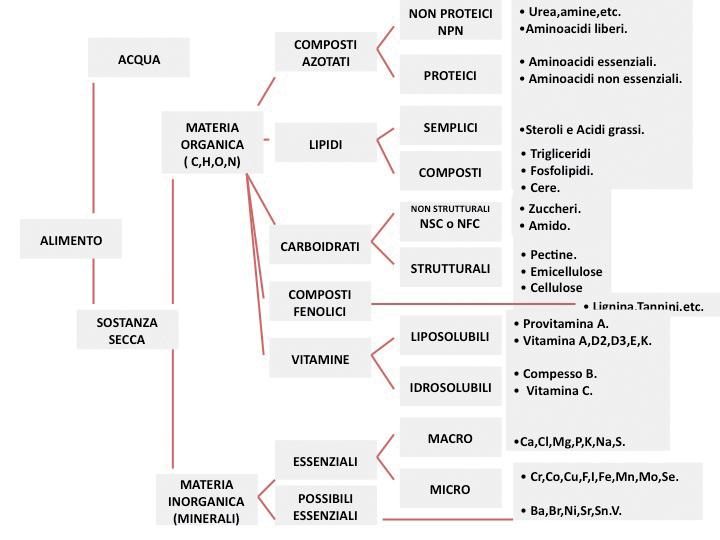 FIGURA 1. I nutrienti conosciuti alla discendenza.