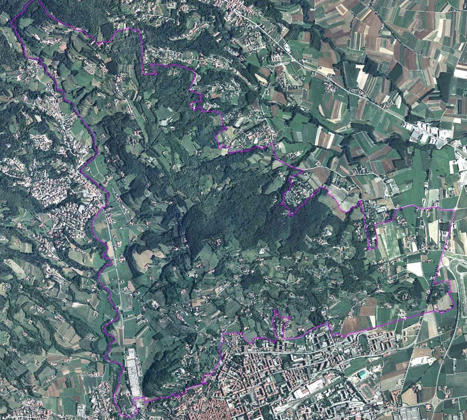 RELAZIONE DI COMPATIBILITA' AMBIENTALE La flora 16 : basandosi sull analisi delle tipologie forestali si è osservato che le principali formazioni boscate della zona sono presenti sul versante esposto