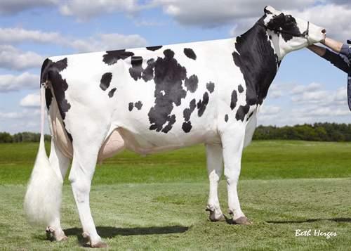 SHOTTLE MAY EX90 FAMILY MARLOW MR MARIBEL JACEY MARLOW US003010356101 aaa: 243561 Nato il: 12.11.