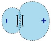 Pagina 9 di 15 Configurazione cardioide In questo caso i due diaframmi a cardioide vengono messi in opposizione di fase e il segnale relativo a uno dei due viene attenuato.