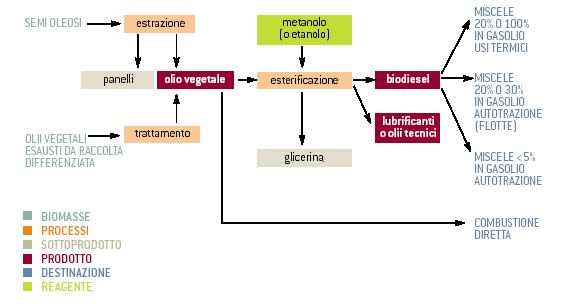 innovativi atti alla trasformazione del glicerolo in nuovi prodotti di interesse industriale [127]. Figura 3.3 - Schema di produzione del Biodiesel.