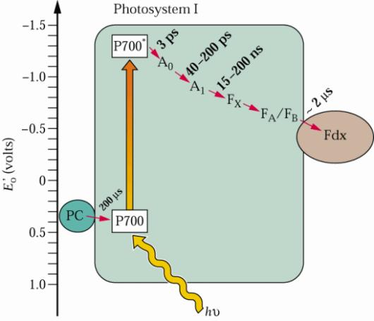 del PSI Fdx=