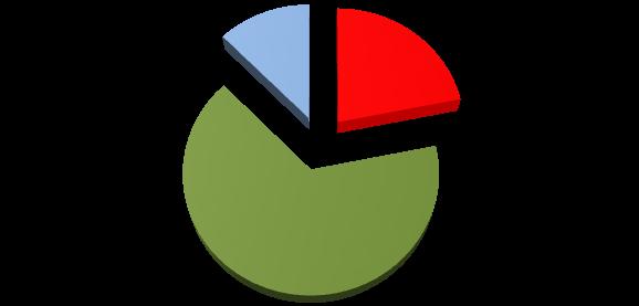 3. Costo sociale La stima dei costi sociali intende quantificare il danno economico, subito dalla società e conseguentemente dal cittadino, derivante dall evento incidente stradale.